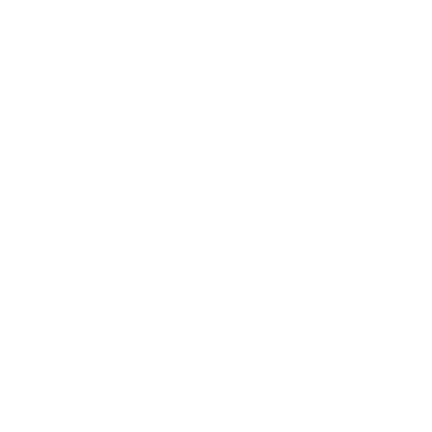 Gruppo Ardito Watches